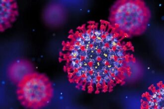 15 Covid 19 cases reported in 24 hours